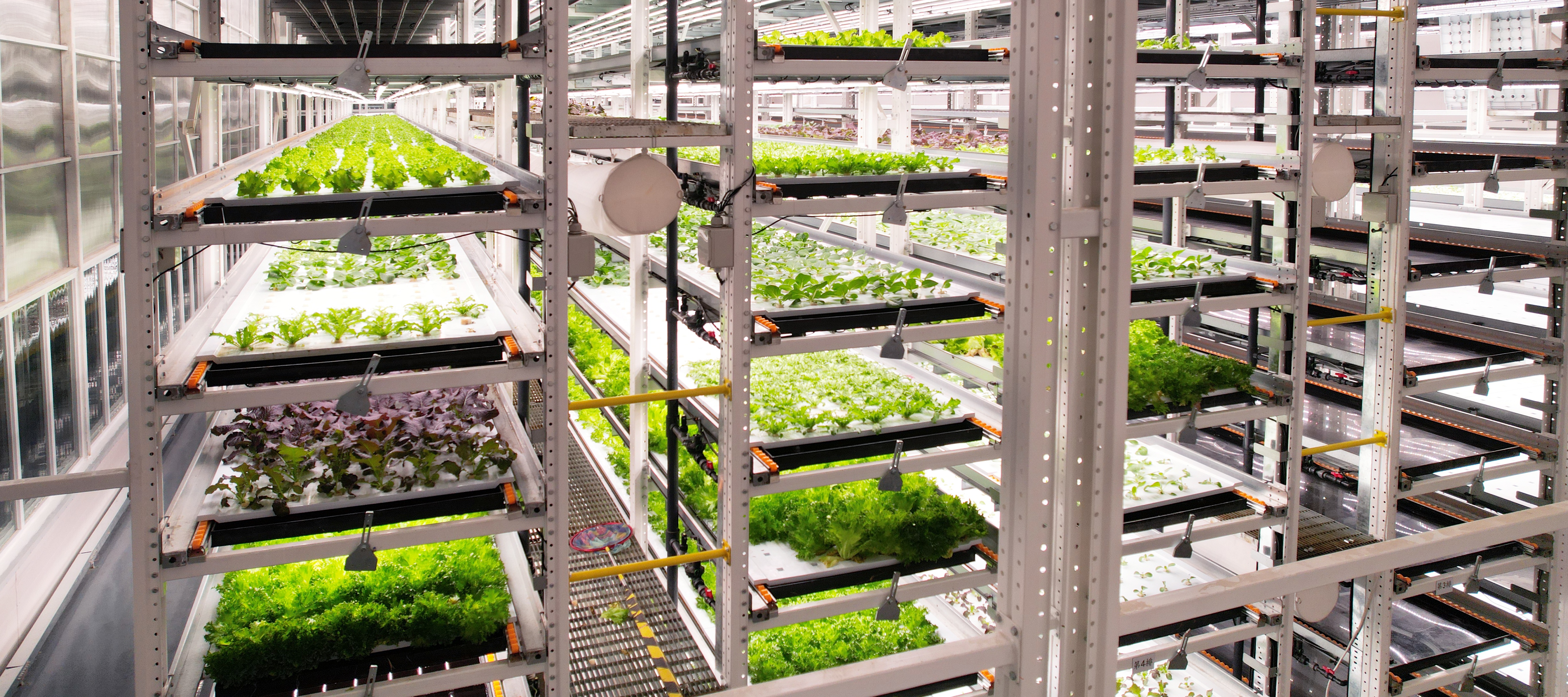 �ⰺ����ֲ�﹤���߲�20231206 (2)_��ͼ��.JPG